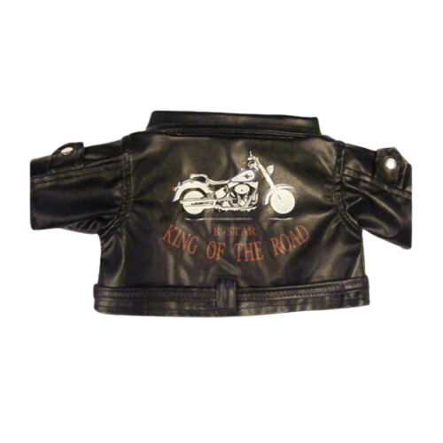 MOTOCICLISTA KING