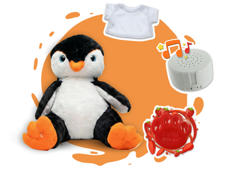 Main Feature Image