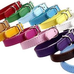 COLLAR DE COLOR PERSONALIZADO - Universo Tutu - [Lima, Perú]
